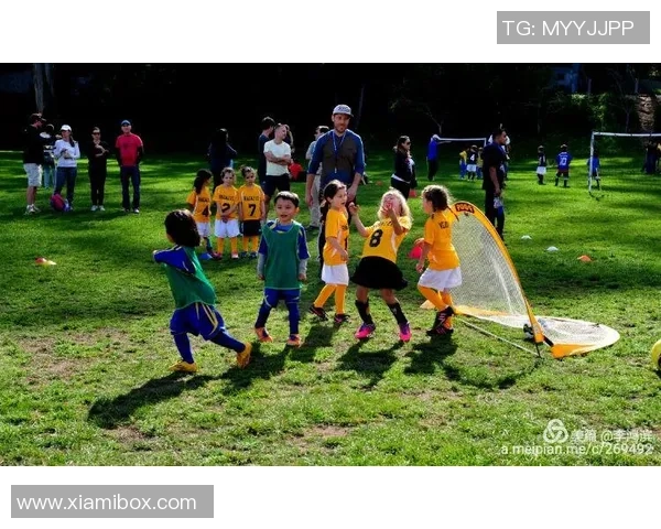 模仿美国足球明星的技巧与训练方法探讨 模仿美国足球明星的技巧与训练方法探讨
