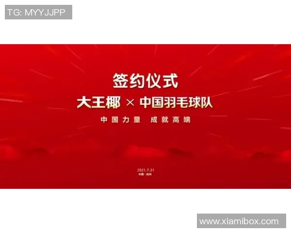 西安羽毛球队总决赛背后的拼搏故事与荣耀时刻 西安羽毛球队总决赛背后的拼搏故事与荣耀时刻