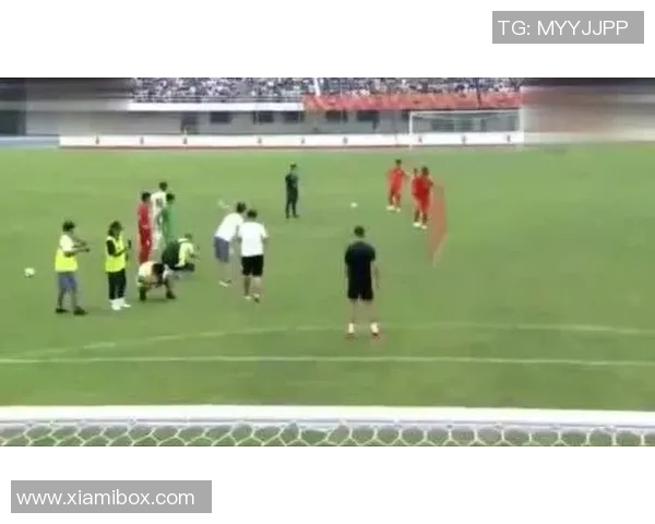 南京排球队战术揭秘：从训练到比赛的全景分析与策略探讨