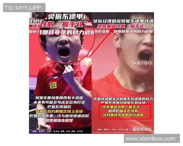 乒乓球意识排行榜揭晓杭州乒乓球队荣登第四名引发热议